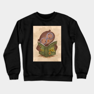 Wise Owl Crewneck Sweatshirt